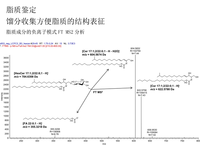 1581660831254929.jpg 1581660831254929.jpg