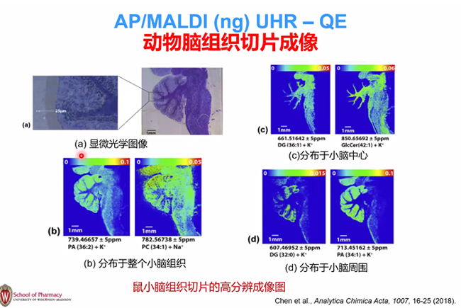 1581665626483763.jpg chxiang.jpg