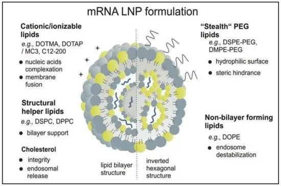 1622536626940947.png 641.png