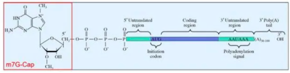 1636686317927609.jpg WX20211109-141731.jpg