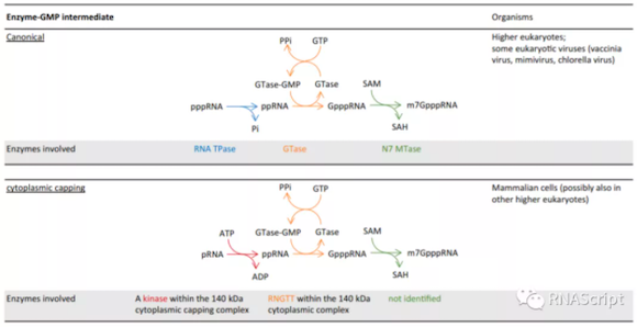 1636686345790817.jpg WX20211109-142622.jpg