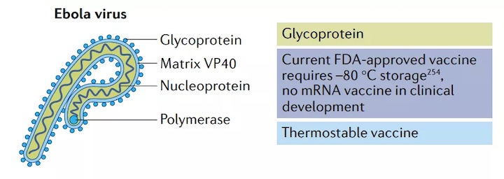 1637294606353087.jpg w8_副本.jpg