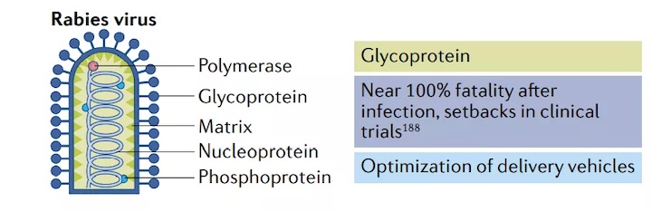 1637294611851333.jpg w9_副本.jpg