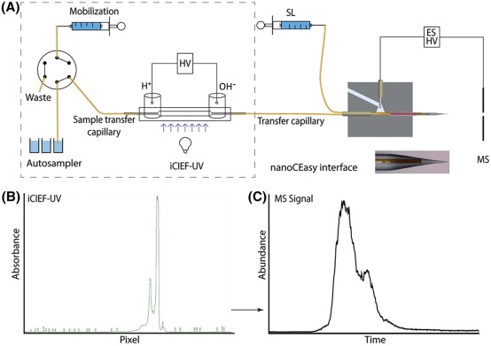 1676366920191793.jpg 03.jpg