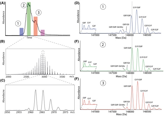 1676366925569659.jpg 04.jpg