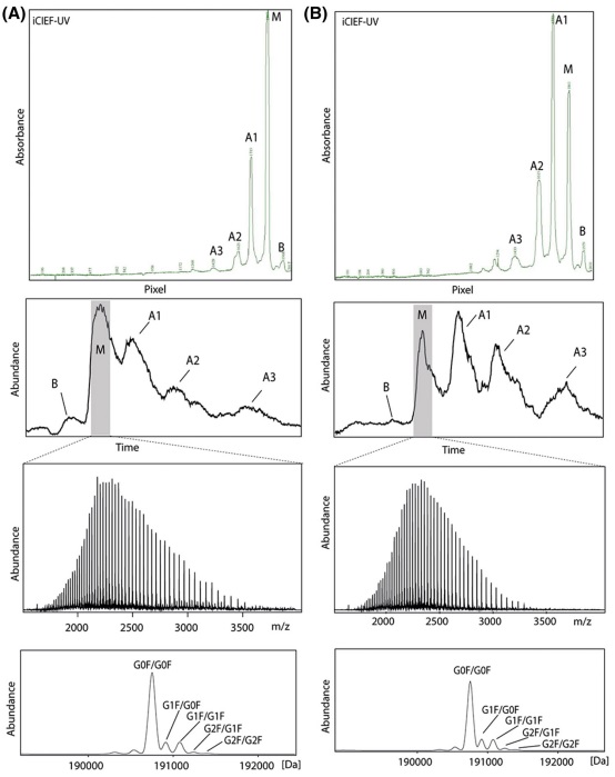 1676366933291767.jpg 05.jpg