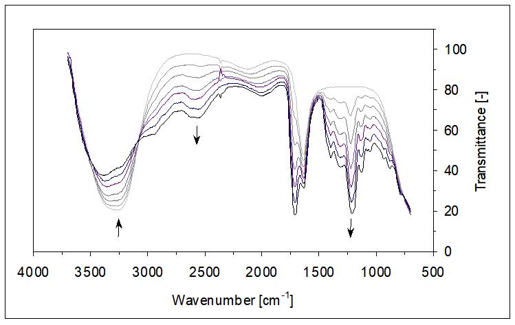 1711609239834506.jpg 圖片16.jpg