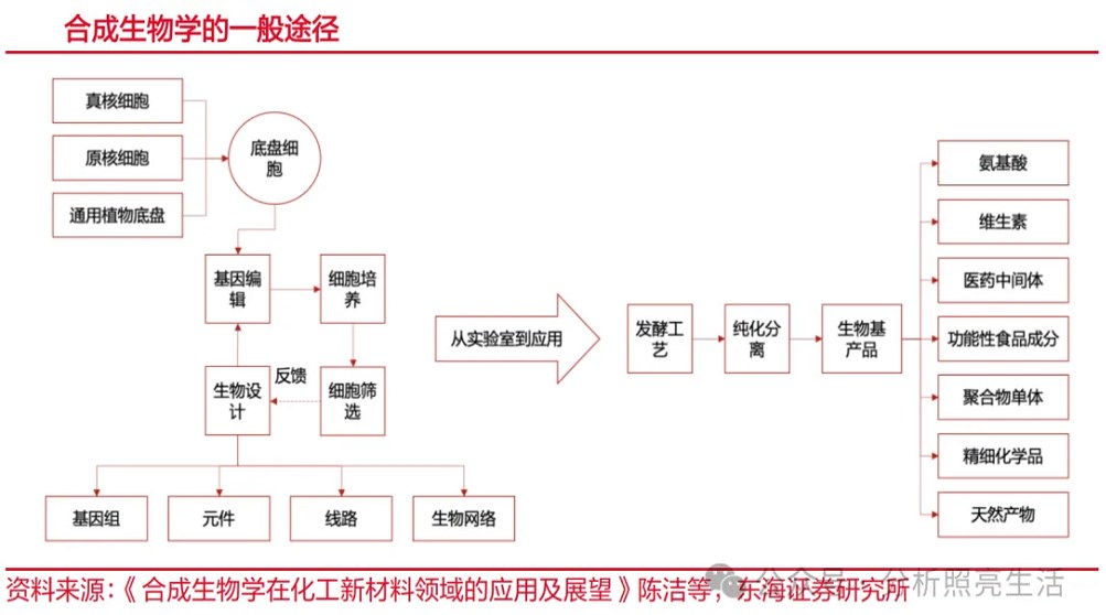 1717348599914759.jpg 1.jpg