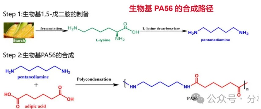 1717396828455748.jpg 4.jpg