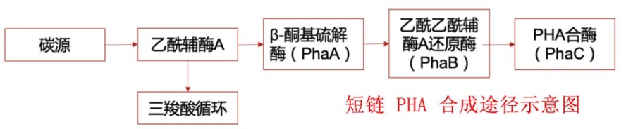 1717396871318151.jpg 7.jpg