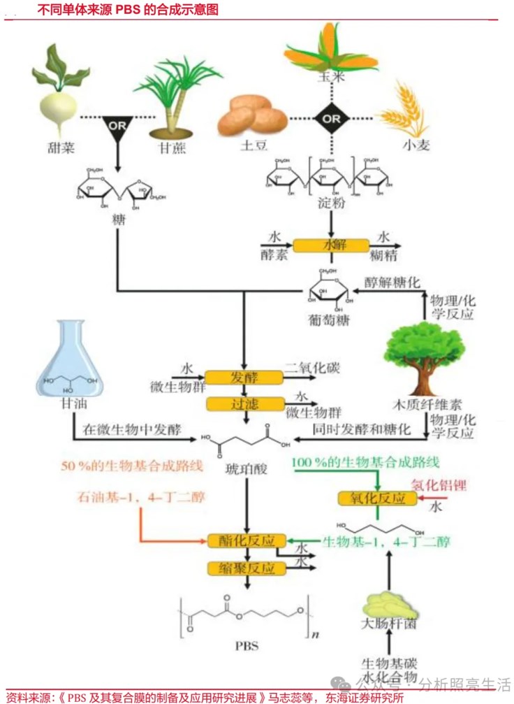 1717396911635898.jpg 9.jpg