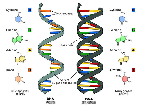 1721181603349030.jpg hy1.jpg