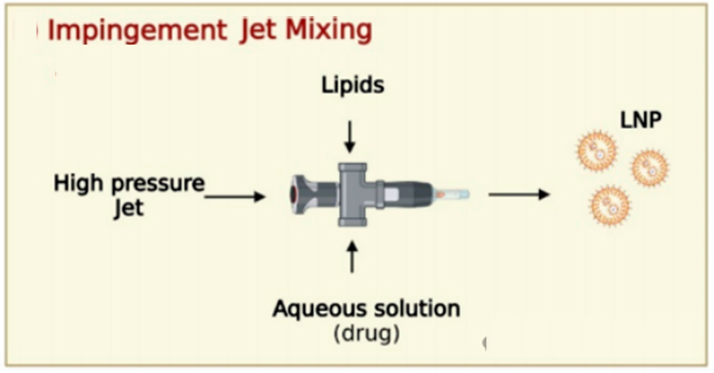 1722471258655970.jpg IJM.jpg