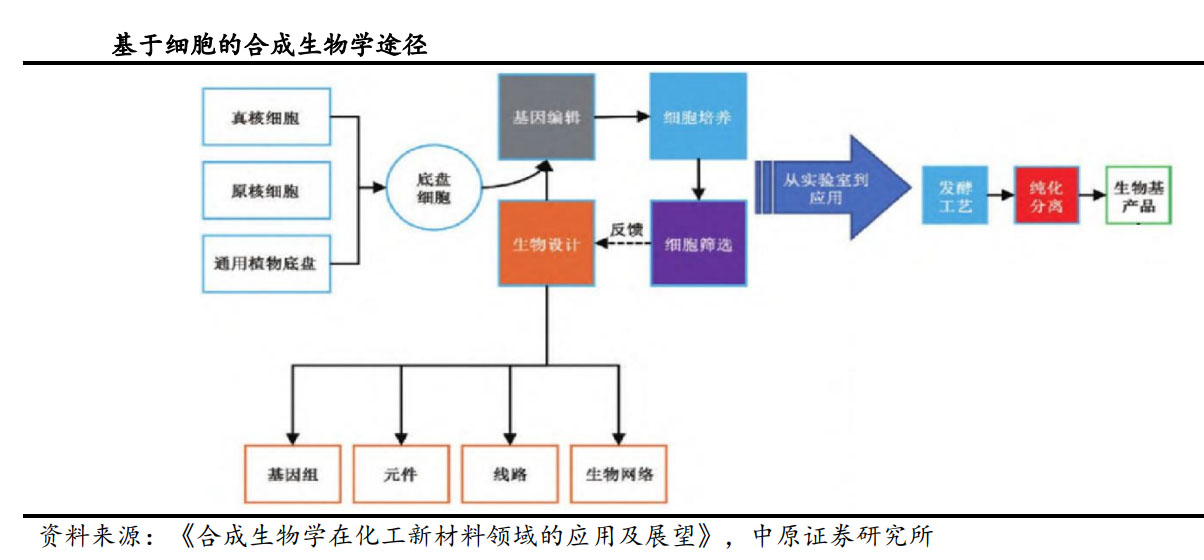 1725592574893194.jpg he1.jpg