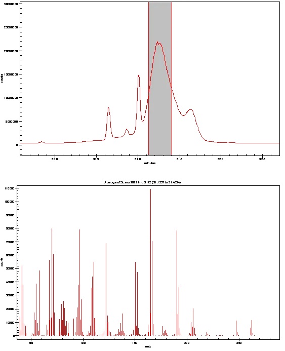 1728956636745400.jpg 11.jpg