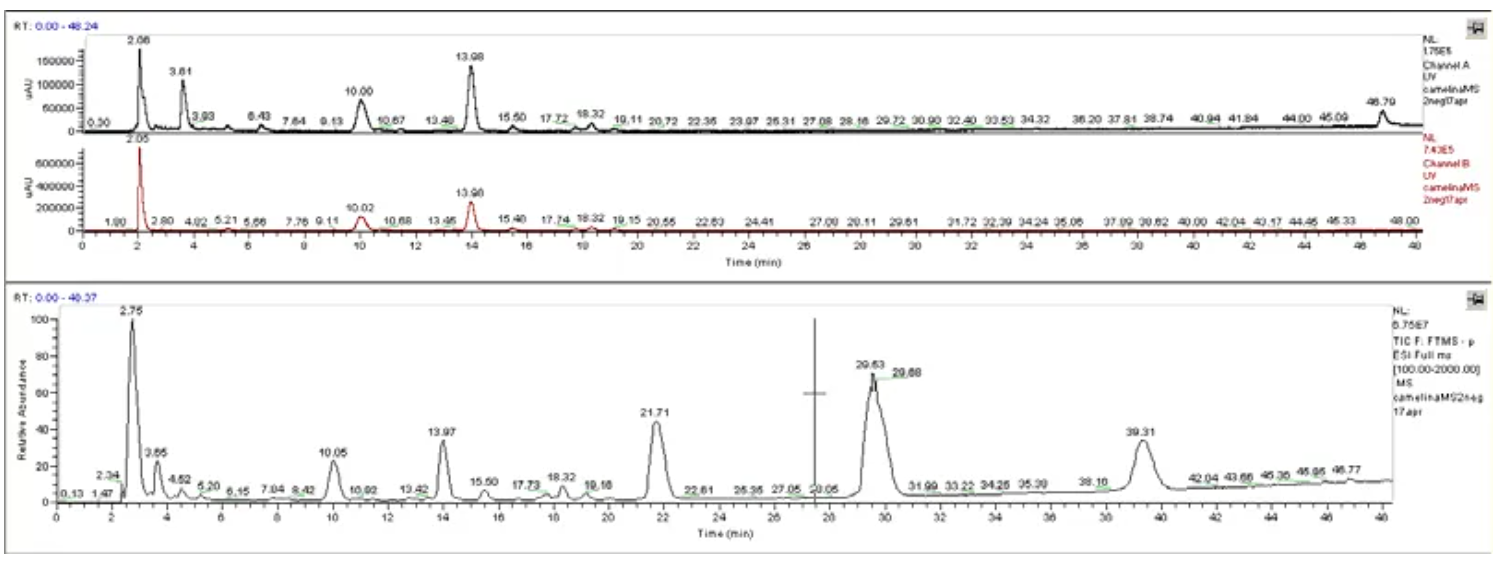 1731380104183708.png 1731380104183708.png