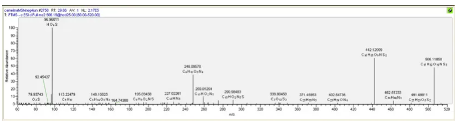 1731380275191000.png 1731380275191000.png