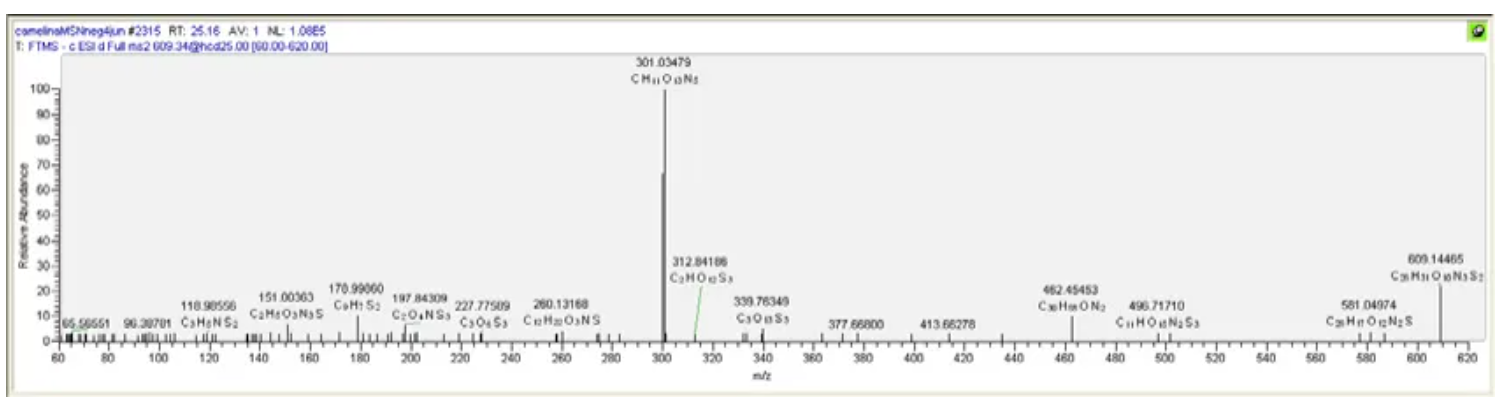 1731380313328653.png 1731380313328653.png