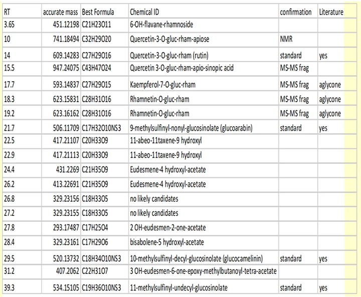 1731380467195855.jpg 1731380347533.jpg