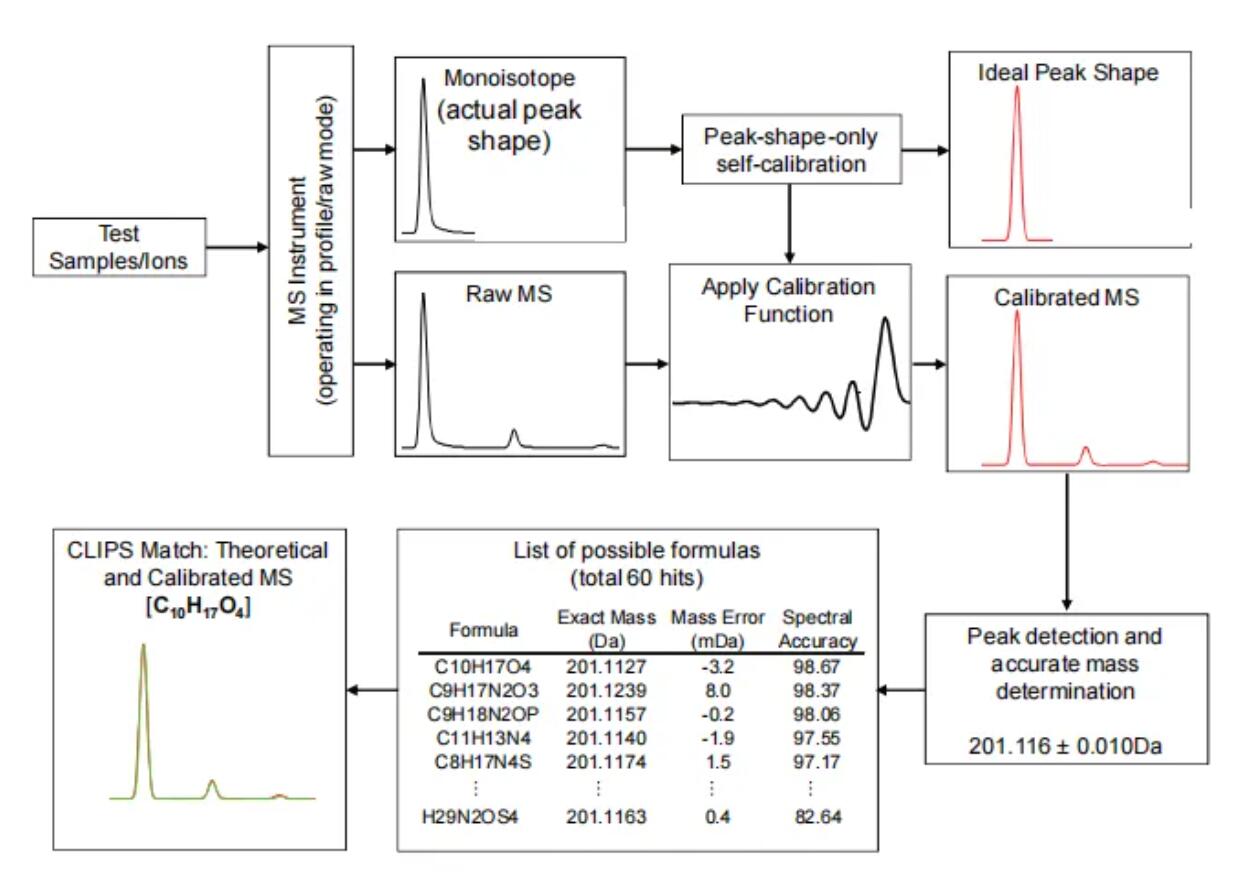 1739513518991752.jpg 31.jpg