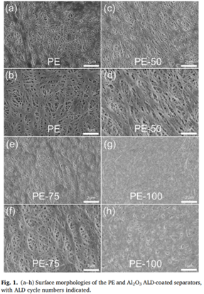 1740727979547018.png image.png