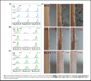 1742542398799383.png image.png