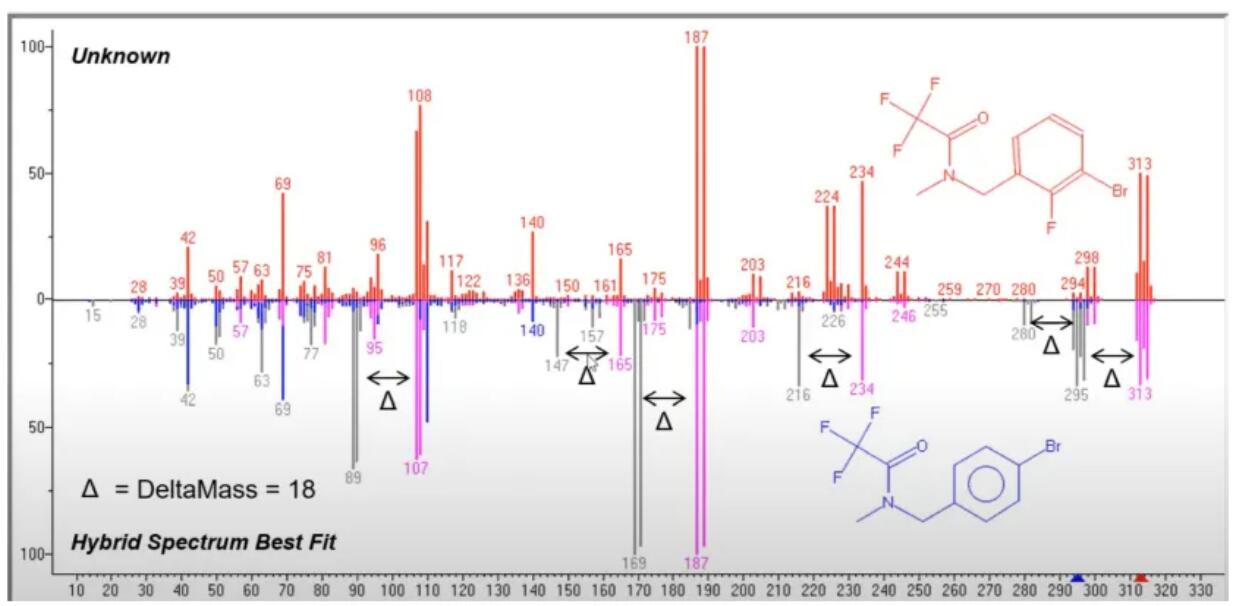 1742870178284818.jpg 22.jpg