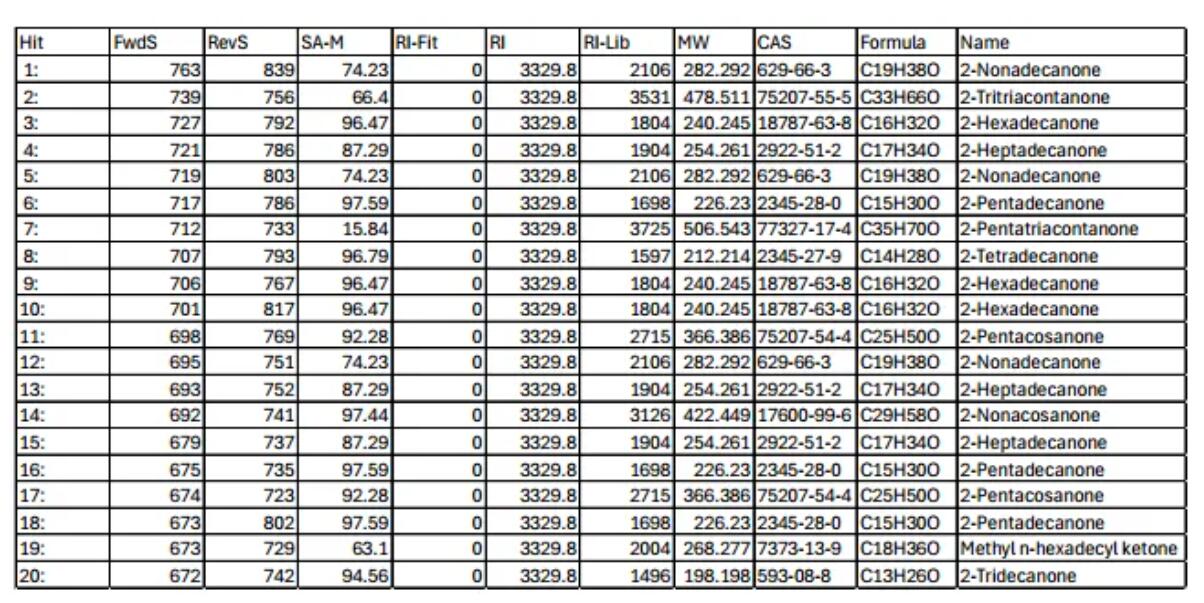 1742870201826906.jpg 25.jpg